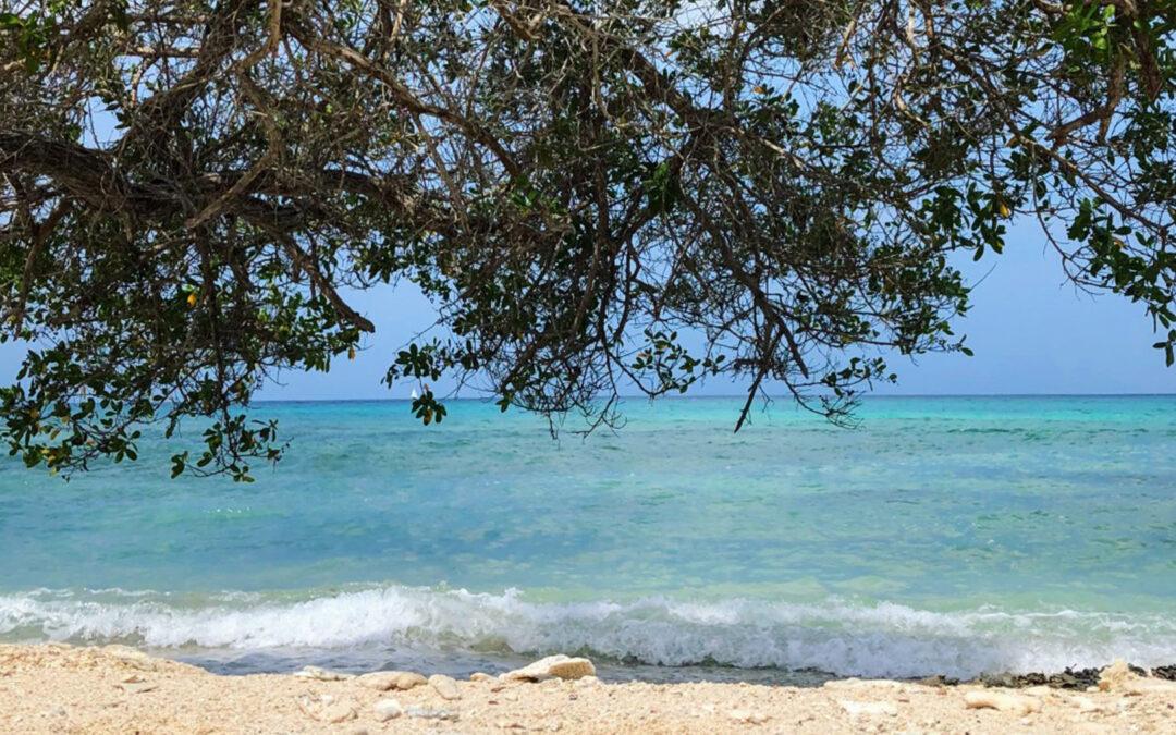 Islas del Rosario y Barú : Una Experiencia Inolvidable