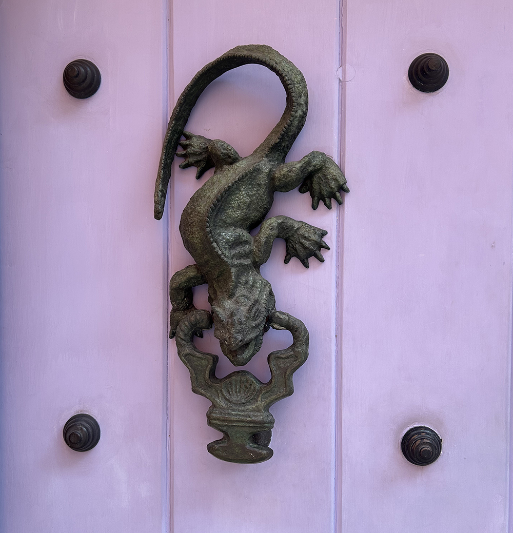 iguana knocker